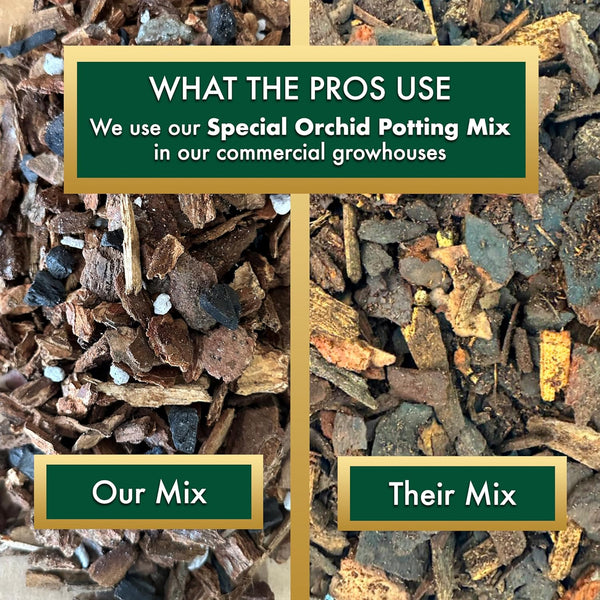 Better-Gro Special Orchid Mix - Premium Grade Orchid Bark Potting Mix for Potting, Repotting, Enhanced Drainage, Air Flow & Root Ventilation,
