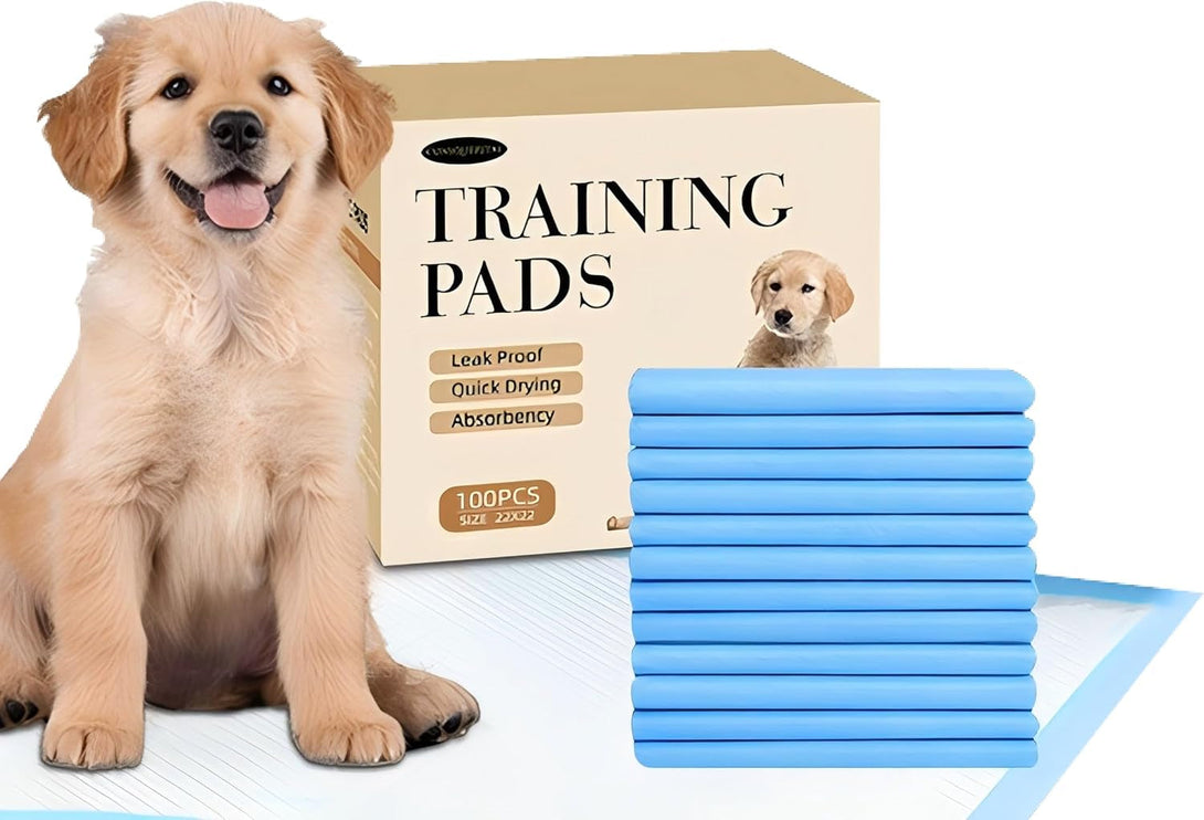 22X22 Dog Pee Pads 40 Count, Charcoal Puppy Training Pads, Super Absorbent 6-Layer Leak-Proof for Dogs, Fast-Drying, Potty and Floor Protection