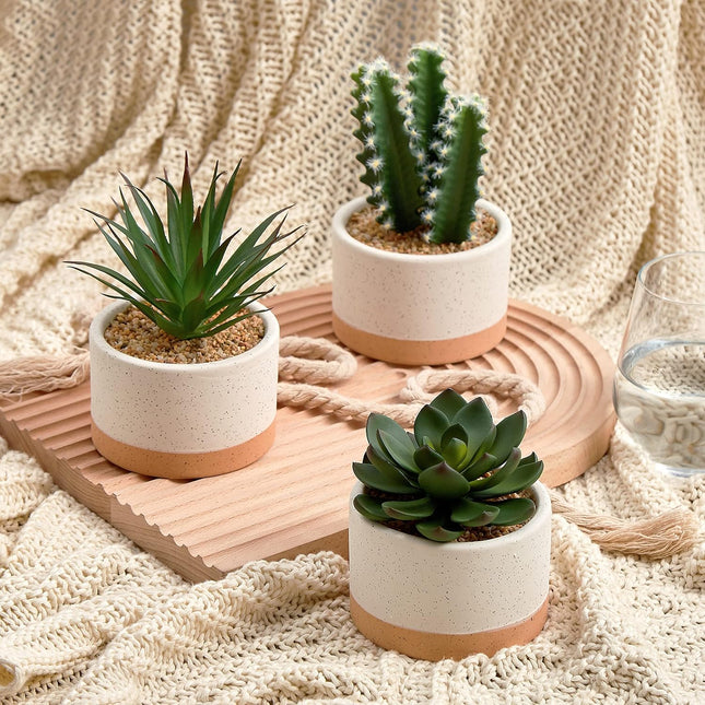 Artificial Succulent Plants in Ceramic Pots, Faux Assorted Succulents Fake Cactus Plants for Home Decor, Bedroom, Office