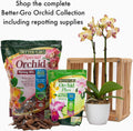 Better-Gro Special Orchid Mix - Premium Grade Orchid Bark Potting Mix for Potting, Repotting, Enhanced Drainage, Air Flow & Root Ventilation,
