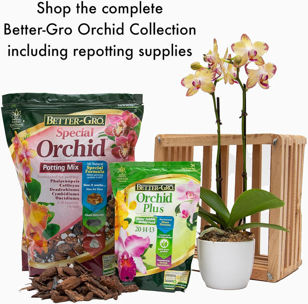 Better-Gro Special Orchid Mix - Premium Grade Orchid Bark Potting Mix for Potting, Repotting, Enhanced Drainage, Air Flow & Root Ventilation,