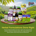 Herbs Etc. Deep Sleep Classic Liquid Extract - Herbal Supplement for Natural & Gentle Sleep Support - Restful Sleep Supplement with Passionflower,