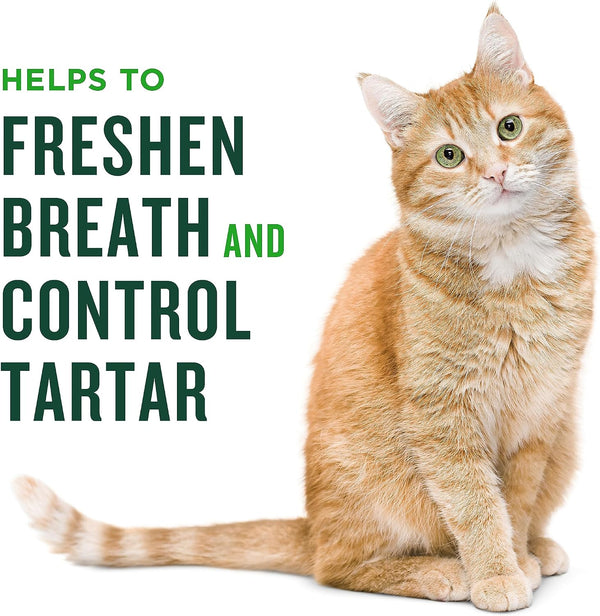 Minties Dental Treats for Cats, Chicken Flavored Treats for Cats, Freshens Breath and Controls Tartar, 2.5oz Chicken 2.5 Ounces