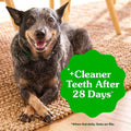 Greenies Teenie Original Natural Dental Dog Treats, Chicken, 43 Count | Clinically-proven, veterinarian-recommended, 47% less tartar & 40% less