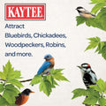 Kaytee Wild Bird Seed & Mealworm Seed Cake Food For Bluebirds, Chickadees, Woodpeckers and More, 1.4 Pound 1.4 Pound (Pack of 1)