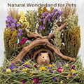 Sukh Herb Bedding Habitat Decor - Natural Flower Hamster Mate Herbs Sprays Cage Safe Pet Accessories Decorations Hideout for Hamsters Mouse Guinea