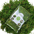 Generic Usmola Fake Moss, Artificial Green Moss for Potted Plants Fairy Garden Accessories, 4OZ (Fresh Green) 4 OZ