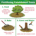 Down To Earth All Natural Fertilizers Organic Citrus Mix - Plant Food for Lemons, Limes, Oranges and Avocados 6-3-3, 1 lb