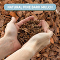 100% Natural Pine Bark Mulch Nuggets (8 Quarts), Small Mulch Chips for Indoor/Outdoor Container Gardening, Ideal for Soil Supplement, Houseplant