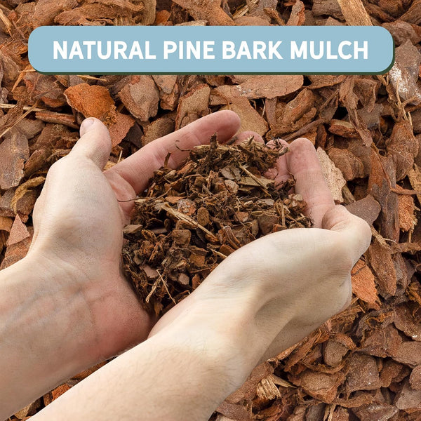 100% Natural Pine Bark Mulch Nuggets (8 Quarts), Small Mulch Chips for Indoor/Outdoor Container Gardening, Ideal for Soil Supplement, Houseplant
