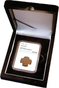 Guardhouse Wood Display Box for NGC/PCGS/Premier/Little Bear Elite Coins in Certified or Certified Style Holders/Slabs (Single Coin, Matte Black