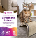 SmartyKat Sisal Angle Ramp Cat Scratcher, Natural Woven Sisal Surface & Stable Wooden Structure with Organic Catnip Angle Scratcher - Sisal One Size
