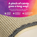 SmartyKat Sisal Angle Ramp Cat Scratcher, Natural Woven Sisal Surface & Stable Wooden Structure with Organic Catnip Angle Scratcher - Sisal One Size