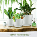 Plant Pots Indoor with Drainage, 5 Pack Multi-Size Planters Set, White Pack of 5 White