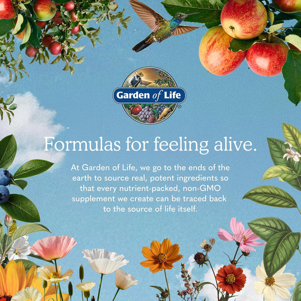 Garden of Life Probiotics, Orange Dream, 10 Billion, 60 Gummies 60 Count (Pack of 1)