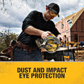 Dewalt DPG82 Concealer Anti-Fog Dual Mold Safety Goggle - 1 Pair Clear