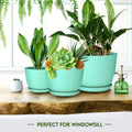 Plant Pots Indoor with Drainage, 5 Pack Multi-Size Planters Set, Aqua Pack of 5 Aqua