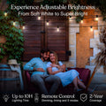 Brightech Ambience Pro Super Bright Solar - 27Ft Remote Control Outdoor String Lights with 12 Shatterproof S14 Bulbs, Commercial Grade LED,