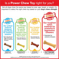 Nylabone Power Chew Dental Groove Bone Dog Chew Toy, Flavor Medley, Small Small Brown