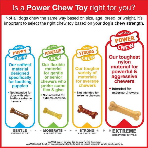 Nylabone Power Chew Dental Groove Bone Dog Chew Toy, Flavor Medley, Small Small Brown