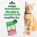 Greenies Feline Smartbites Skin & Fur Health Cat Treats, Salmon, 2.1 oz | Fish oil & flaxseed, omega-3 fatty acids, no artificial flavors or