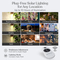 Brightech Ambience Pro Super Bright Solar - 27Ft Remote Control Outdoor String Lights with 12 Shatterproof S14 Bulbs, Commercial Grade LED,