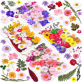 140 Pcs Dried Pressed Flowers for Resin, Real Pressed Flowers Dry Leaves Bulk Natural Herbs Kit for Scrapbooking DIY Art Crafts, Epoxy Resin