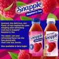 Snapple Zero Sugar Raspberry Tea, 16 fl oz recycled plastic bottle, Pack of 12 Zero Sugar Raspberry 16 Fl Oz (Pack of 12)