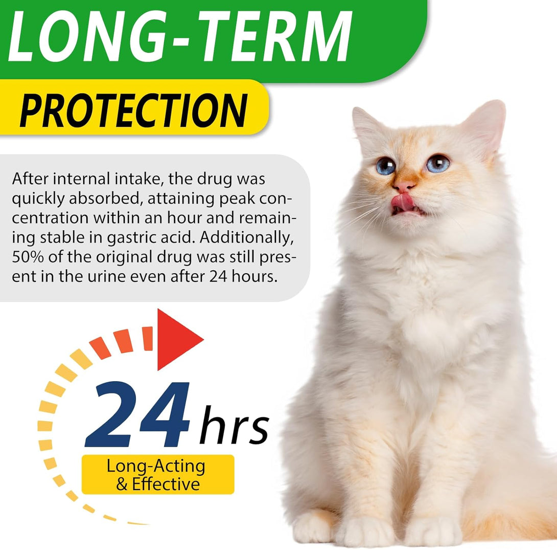 Natural Antibiotics for Cats, Pet Supplements, 2 Fl Oz / 1 Pack Cats Multivitamin, Cat Antibiotic, Supports Cat Allergy Itch Relief, Chicken Flavor