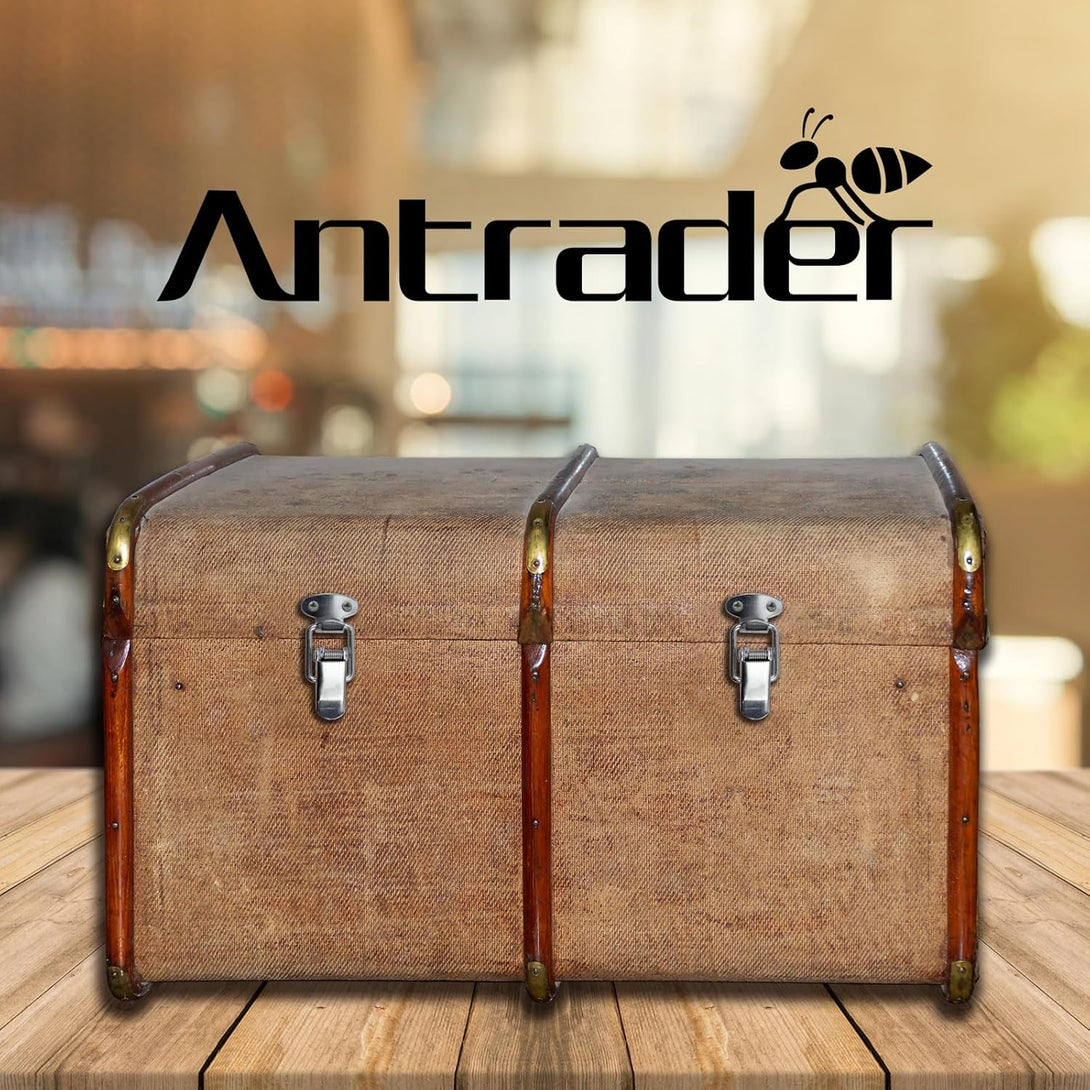 Antrader Spring Loaded Buckle Latch Stainless Steel Toggle Hasp Lock for Wooden Case Toolboxes with Screws Pack of 6