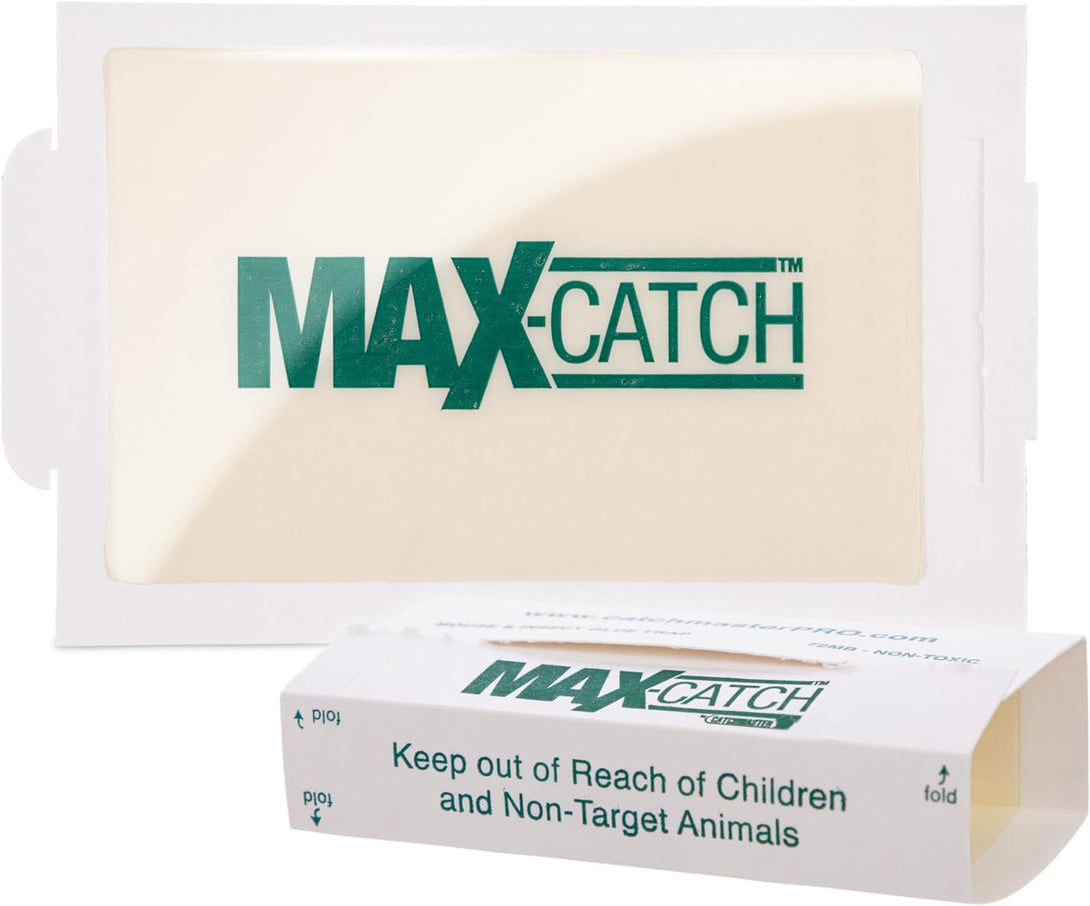 Catchmaster Max-Catch Mouse & Insect Glue Trap 72Pk, Mouse Traps Indoor for Home, Sticky Pest Control Adhesive Tray for Catching Bugs, Rats & Rodents, Non Toxic Bulk Pre-Baited Glue Boards