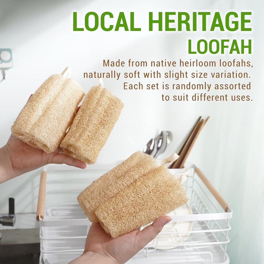 Natural Vietnamese Loofah Sponge, 100% Plant-Based Luffa Exfoliating Body Scrubber for Shower, Multi-Functional for Kitchen, Ideal for Men & Women, Spa & for Pet (Pack 4)