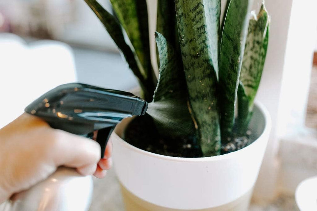 Aluminum Spray Bottles (3 Pack) 20Oz - Silver Metal Aluminum Refillable Spray Bottles, Cleaning Solution, Hair, Plants, Gardening, BBQ Grill, Restaurants, Cooking (New Updated Sprayers)