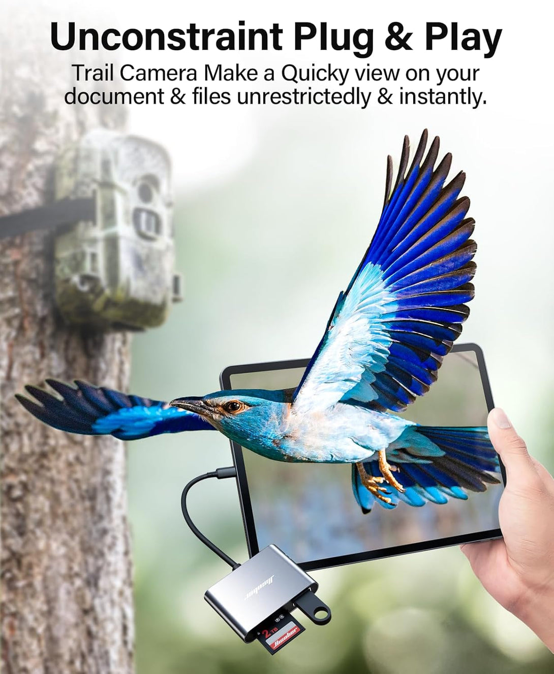 Hicober USB C to SD, Micro SD Memory Card Reader, Type C to SD Card Reader Adapter 2TB Capacity for Macbook Camera Android Windows Linux and Other Type C Device-Space Grey