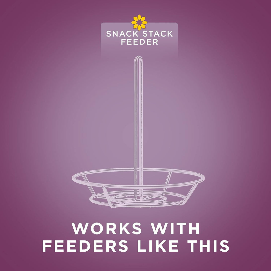 Audubon Park Nut & Fruit Snack Stack Wild Bird Food, Bird Seed Cake for outside Feeders, 6-Pack