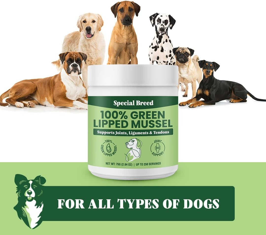 Green Lipped Mussels for Dogs & Cats - Premium Joint Supplement Powder for HIPS, Joints, and Muscles (75 Grams, up to 250 Servings)