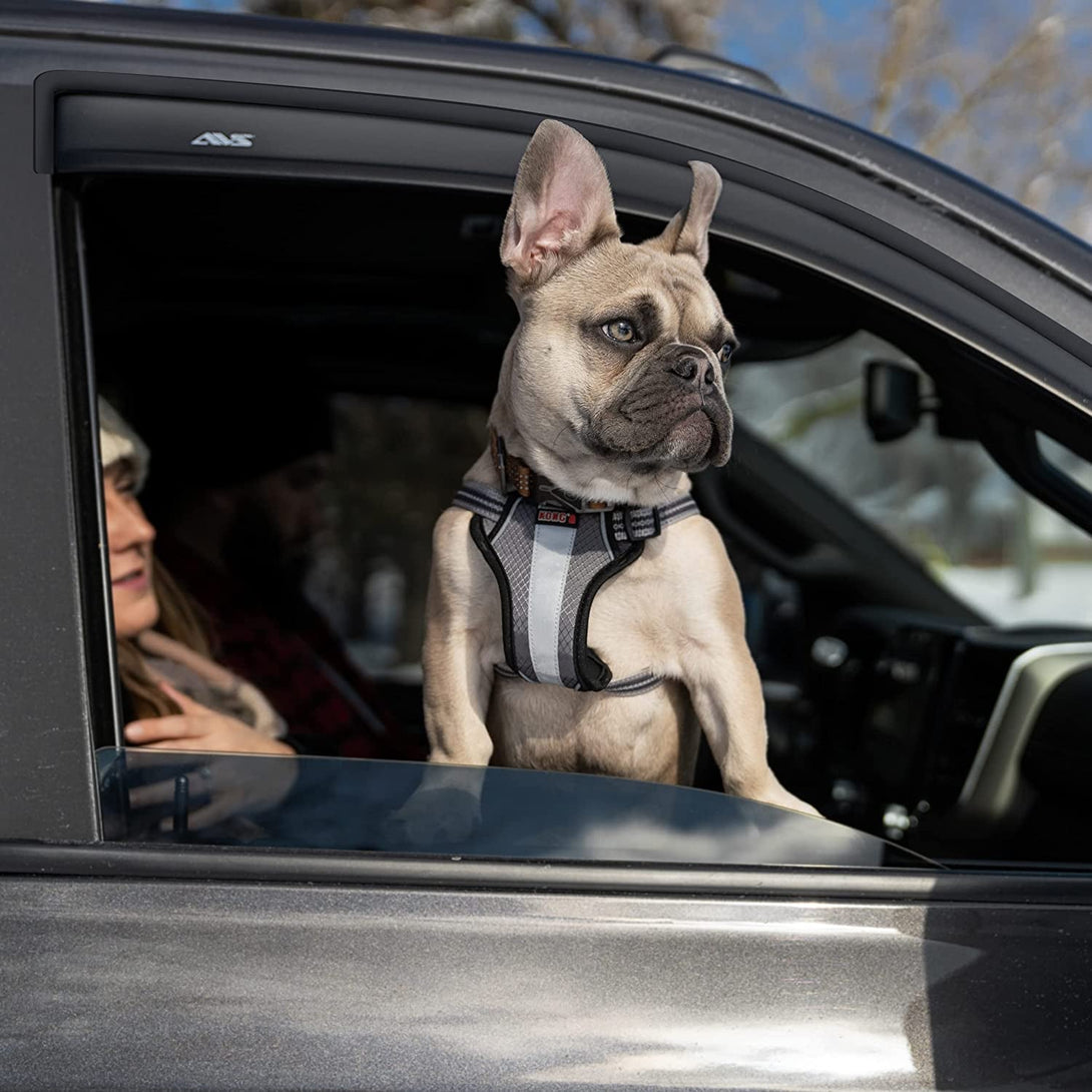 Auto Ventshade [AVS] outside Mount Rain Guards for 2010 - 2017 GMC Terrain | Window Vent Visors, 4 Pcs. - Smoke | 94167