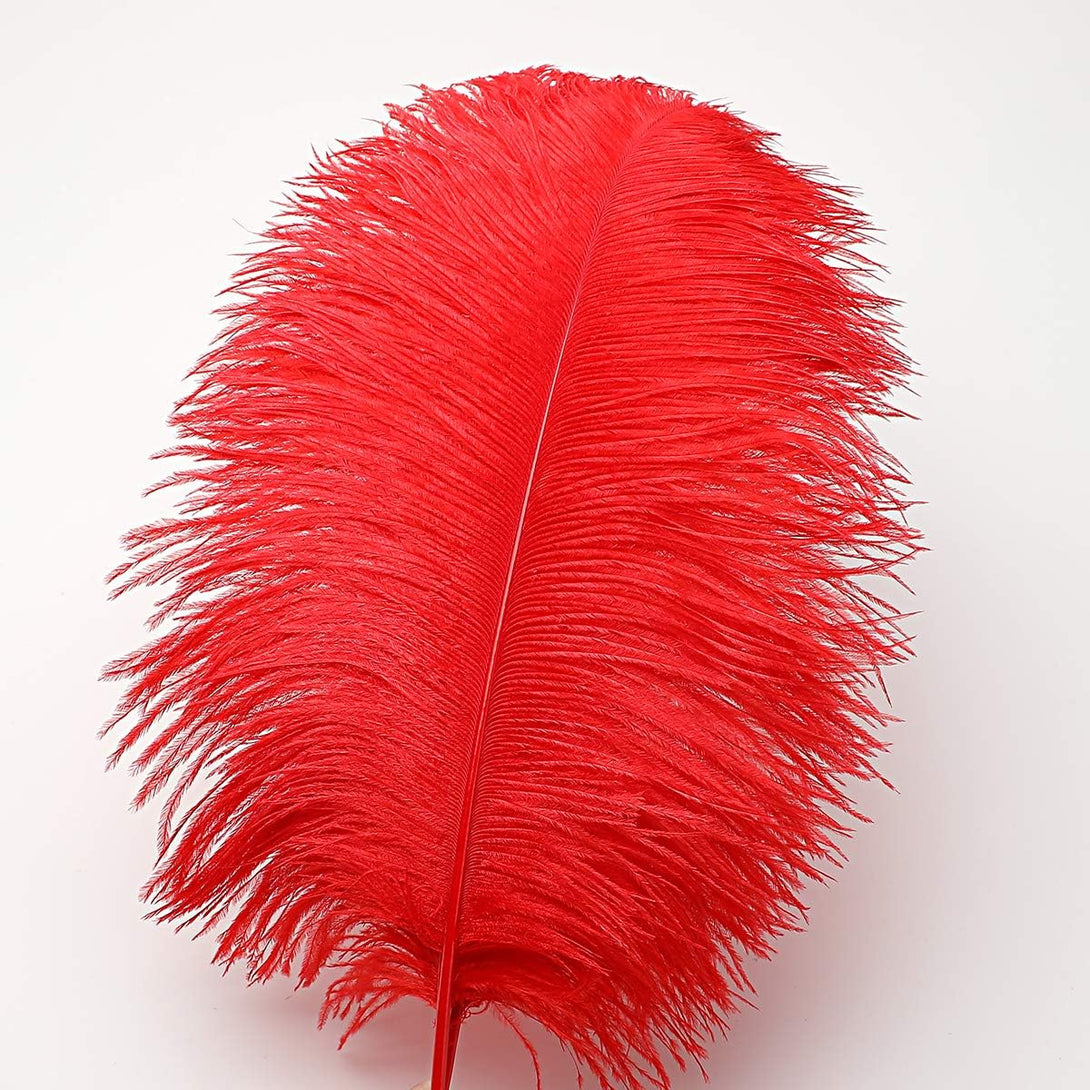 24Pcs Natural Bright Red Ostrich Feathers 10-12Inch (25-30Cm) for Wedding Party Centerpieces，Flower Arrangement and Home Decoration.