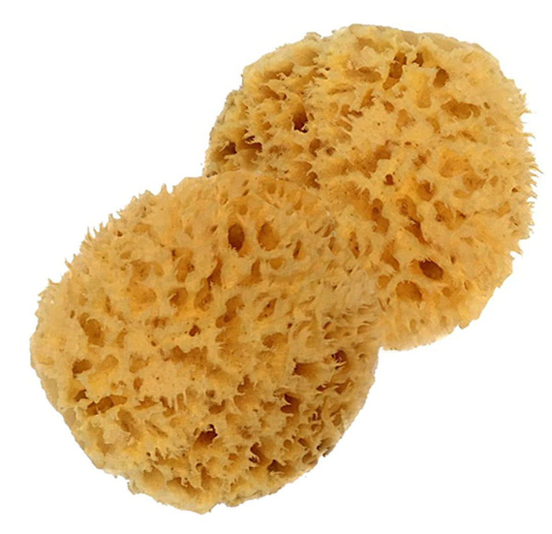 Spa Baby Absorbent Natural Bath Sponge Spa Destinations. Ultra Soft Premium Sea Wool Sponge, Biodegradable, Bath Accessories Baby and Kids, Infant Bath. Two (2) Pack 3-4 Inch for Moms