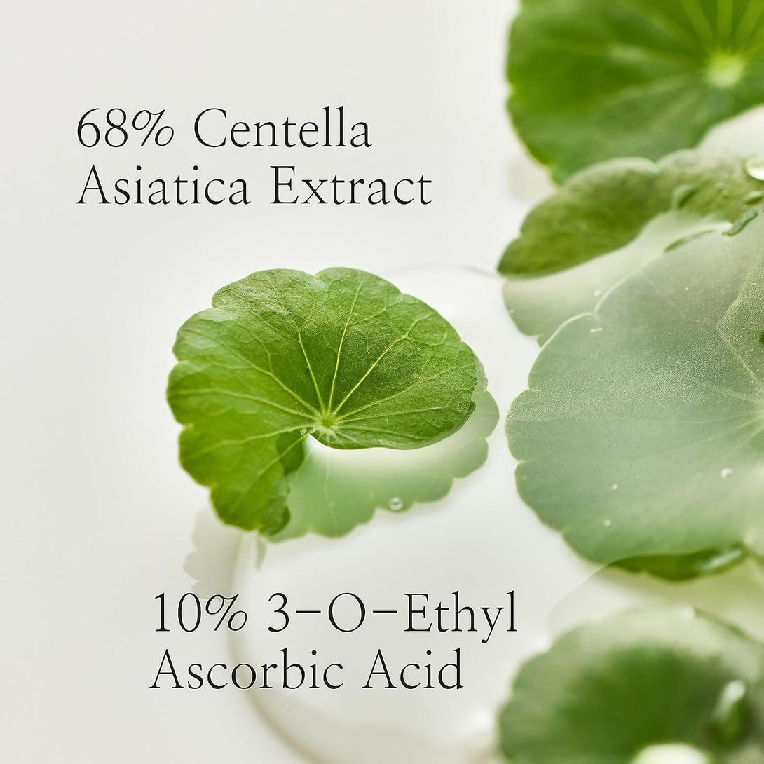 Beauty of Joseon Light on Serum Vitamin C Centella Dark Spot Fine Lines Pigmentation Correcting Serum, Hydrating Moisturizer, Korean Skin Care for Men and Women, 30Ml, 1 Fl.Oz
