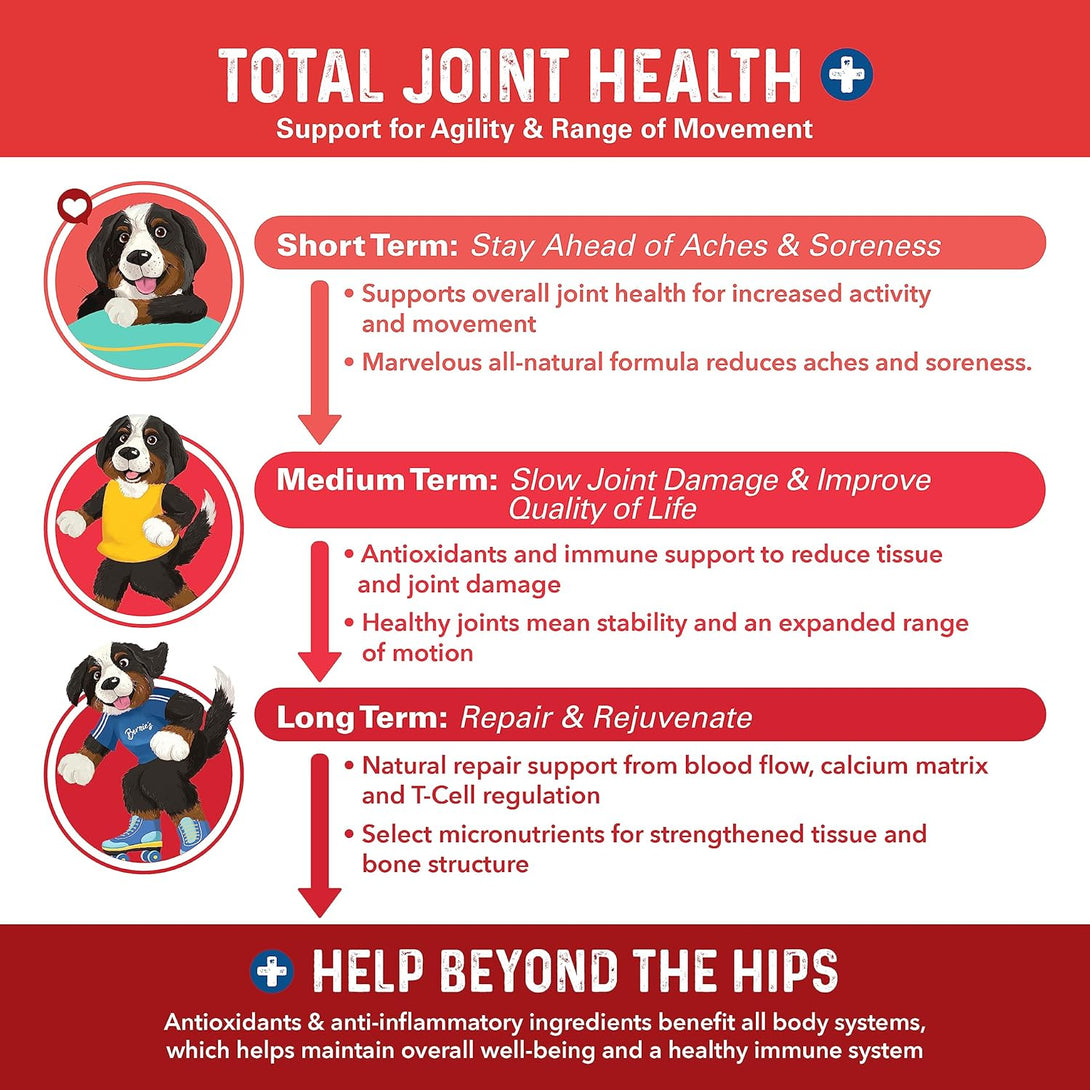 Bernie'S Marvelous Mobility - Daily Total Joint Support for Dogs - 90 Soft Chews - Maintain & Rebuild Mobility, Supports Joint Tissue Health