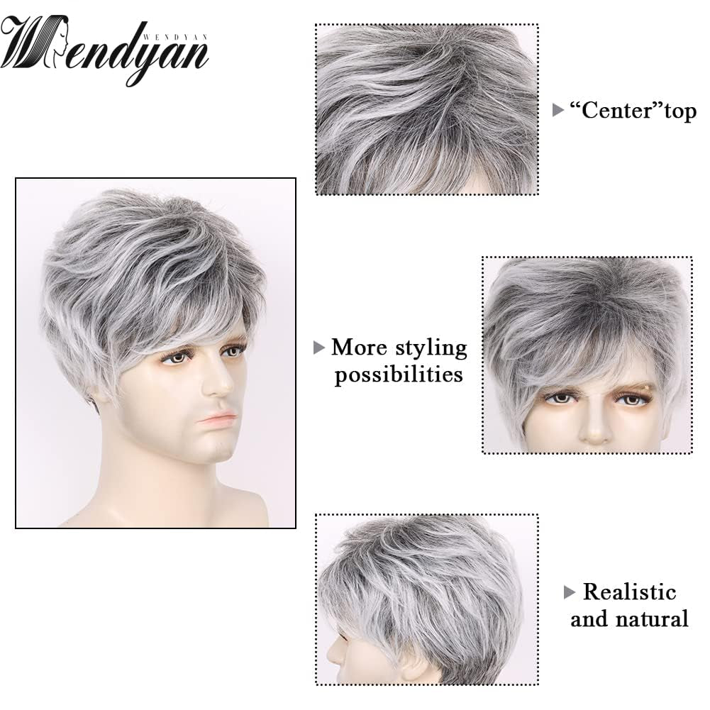 Mens Wig Short Grey Wig Natural Layered Costume Halloween Man Wigs Synthetic Heat Resistant Wigs for Male Guy (Grey)