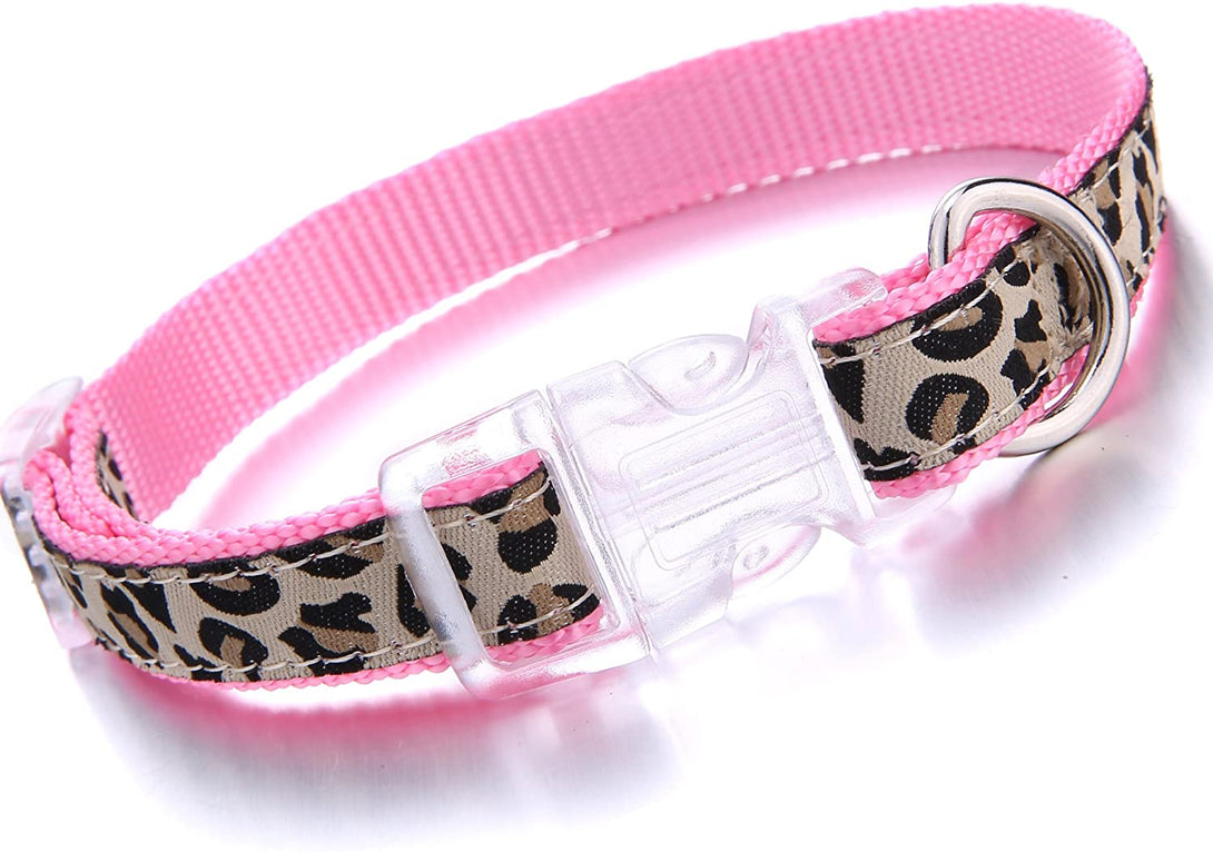 Mile High Life Dog Collar, Harness and Leash | Leopard Design | Perfect Accessory for Walking Your Dog