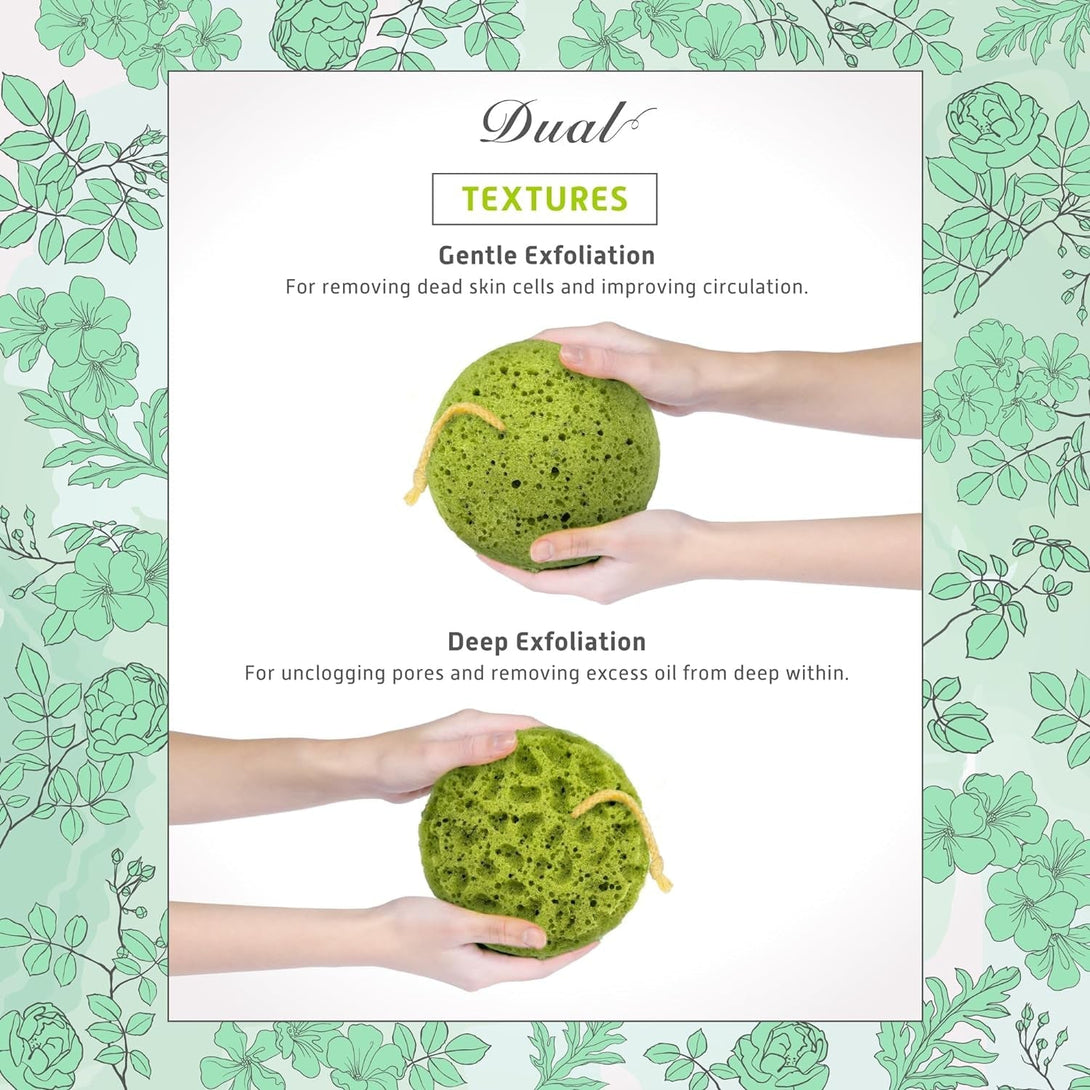 Spongentle Deep Cleansing Body Loofah Sponge, Natural Colors, for Bath and Shower, Multiple Textures for Gentle and Deep Exfoliation, Generous and Rich Lather, (Pack of 3)