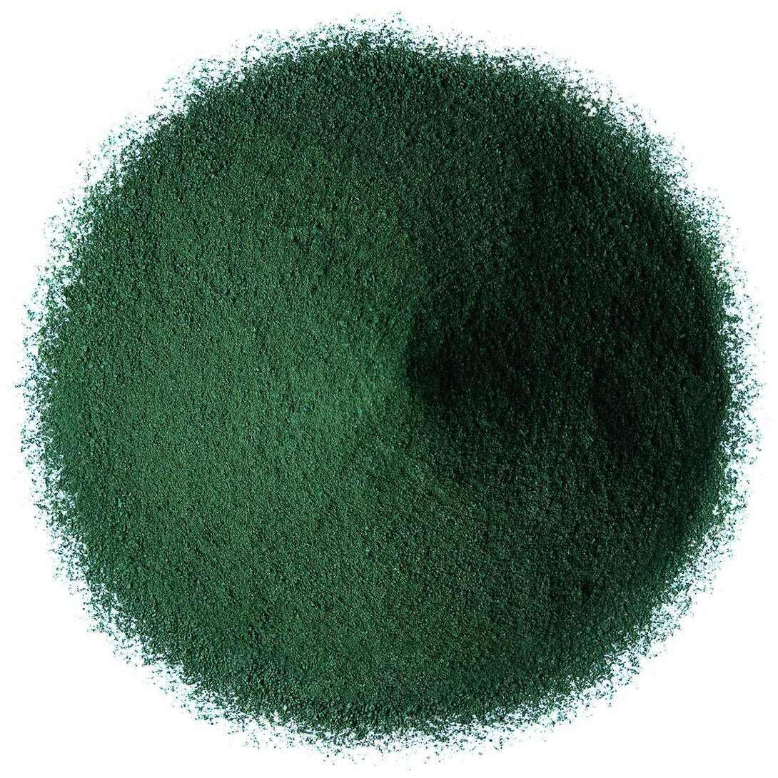 Food to Live Organic Spirulina Powder, 1 Pound – Non-Gmo, Kosher, Raw Blue-Green Algae, Vegan Superfood, Bulk, Non-Irradiated, Pure Vegan Green Protein, Rich in Vitamins & Minerals, Great for Drinks