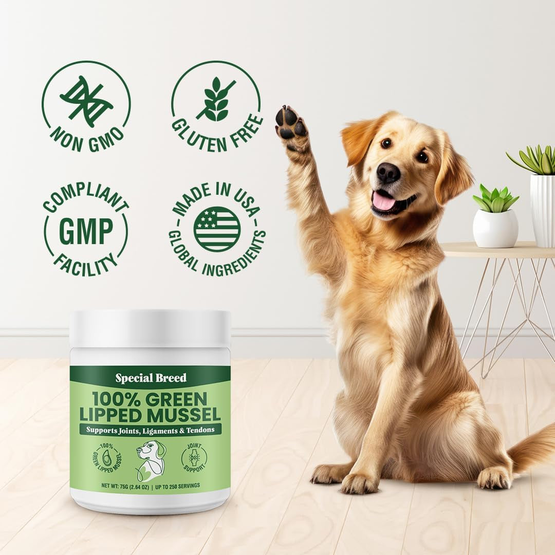 Green Lipped Mussels for Dogs & Cats - Premium Joint Supplement Powder for HIPS, Joints, and Muscles (75 Grams, up to 250 Servings)