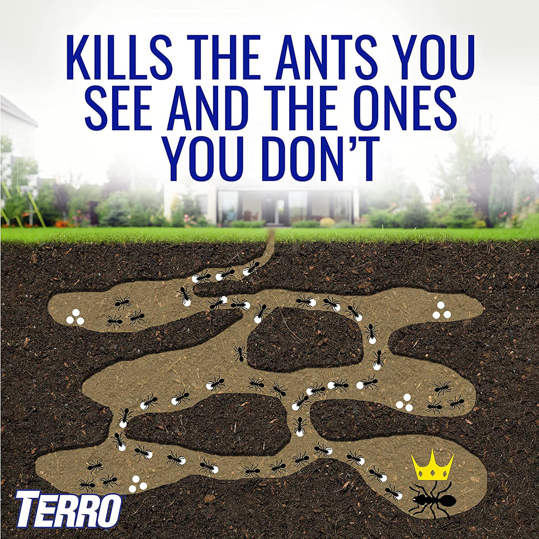 TERRO Liquid Ant Killer Ll T200, 2 Oz