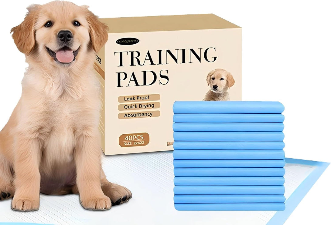 22X22 Dog Pee Pads 40 Count, Charcoal Puppy Training Pads, Super Absorbent 6-Layer Leak-Proof for Dogs, Fast-Drying, Potty and Floor Protection