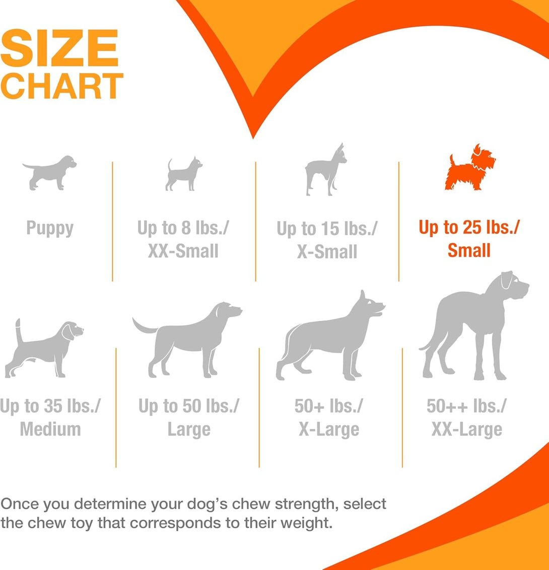 Nylabone Textured Dental Bone Power Chew Toy for Dogs, Dog Toys for Aggressive Chewers, Flavor Medley Flavor, Small - up to 25 Ibs, 1 Count