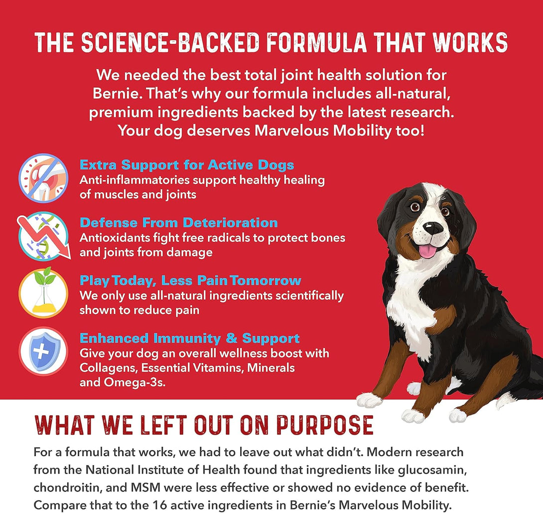 Bernie'S Marvelous Mobility - Daily Total Joint Support for Dogs - 90 Soft Chews - Maintain & Rebuild Mobility, Supports Joint Tissue Health